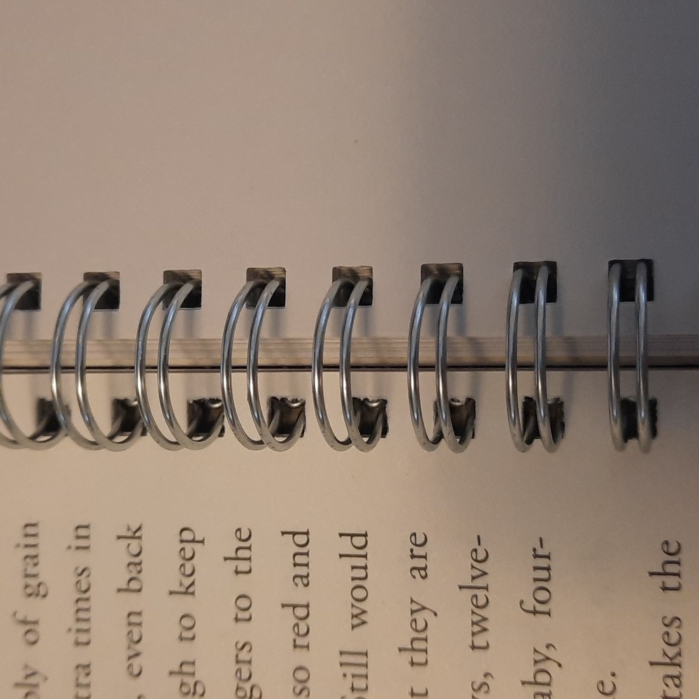 Secret Journal "Catching Fire" - Picture 3 of 6